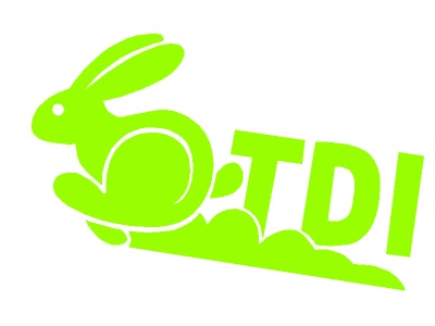 audi_nyl_zld_2092292073