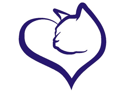 cica_szv_kk_807298047