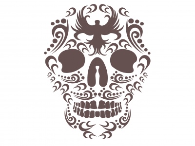 cifra_koponya_barna_2087806501