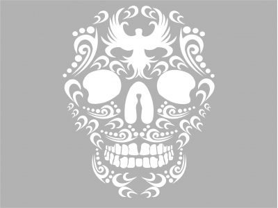 cifra_koponya_fehr_1480540032