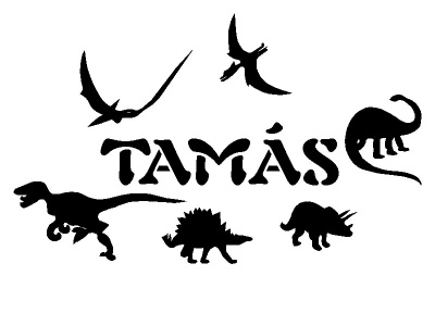 dnk_nvvel_fekete_433488881