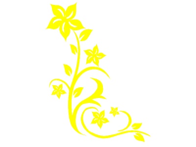 inda_virg_srga_312580070