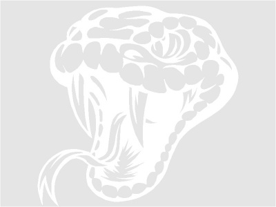 kgy_fej_fehr_2052566412