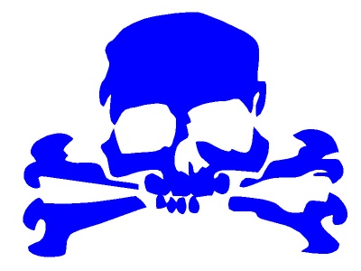 koponya_csont_kk_1437599622