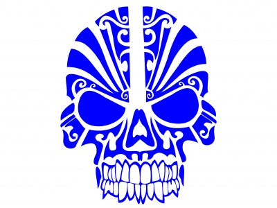 koponya_dszes_kk_1747585642