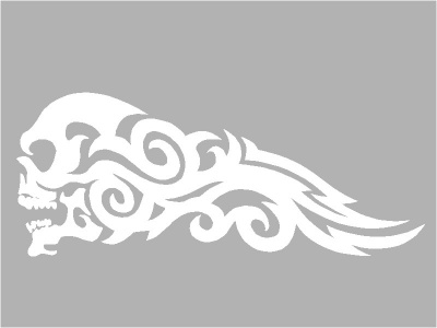 koponya_hossz_fehr_1831830766