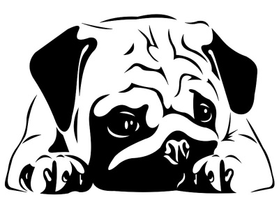 kutyus_fekete_2093499691