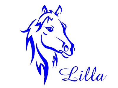 l_fej_nvvel_kk_1048861100