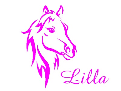 l_fej_nvvel_rzsaszn_577320897