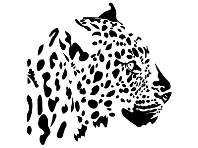 leopard_fej_898199008
