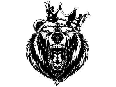 medve_fej_fekete_1294336223