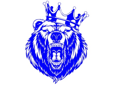 medve_fej_kk_1461970118