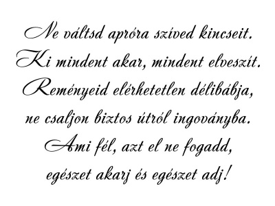 ne_vltsd_fekete_1347009407