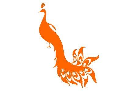 pva_narancs_772228623