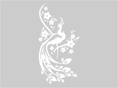 pva_nonfiguratv_fehr_684082097