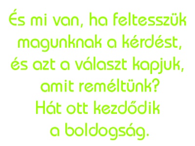 s_mi_van_zld_884337676