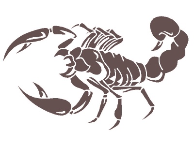 skorpi_barna_392816756