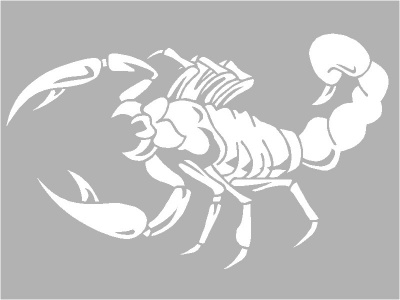 skorpi_fehr_635261443