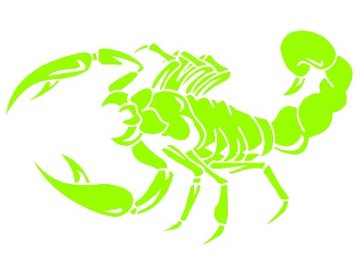 skorpi_zld_518710927