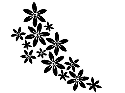 virgok_fekete_2010821463